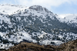 Nieve en la sierra