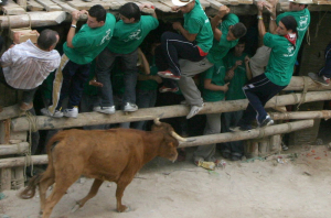 Encierros